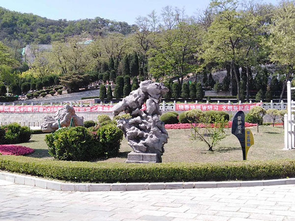 徐州市拖龙山公墓图片